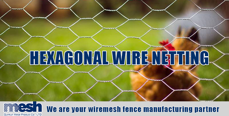 PVC Coated or Galvanized Hexagonal Wire Mesh