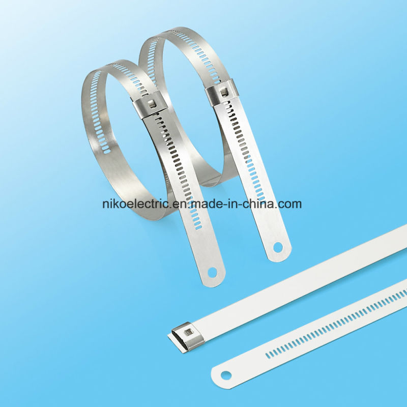 Ss Ladder Step Locked Cable Tie