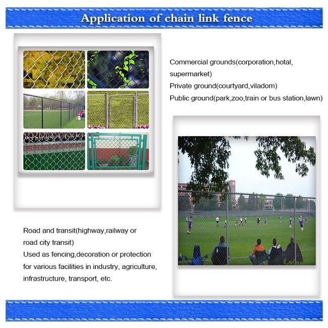 Galvanized PVC Coated Chain Link Fence for Farm