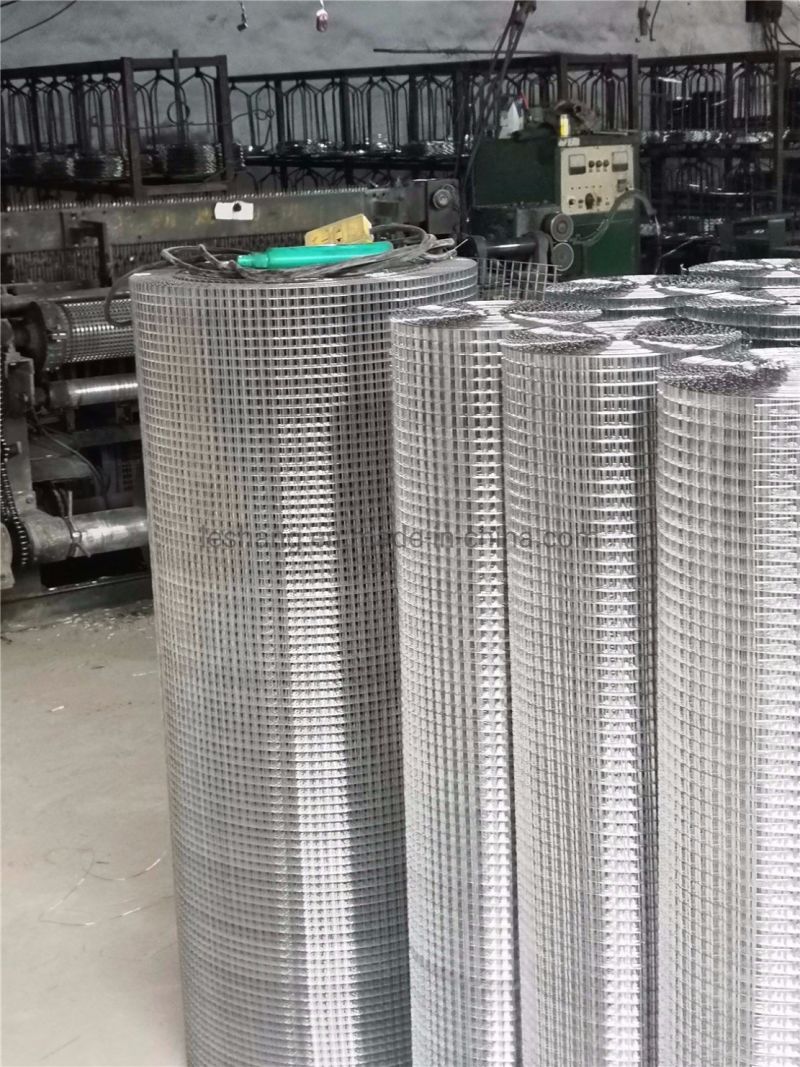 Hot-Dipped Galvanized 1/4" X 1/4" Inch Wire Mesh Fence