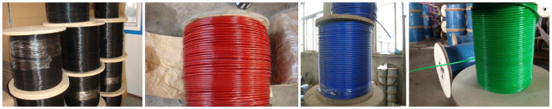 Different Color PU/PVC Plastic Coated Galvanized Steel Wire Rope