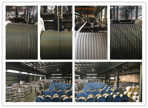 Factory 6*19+FC Ungalvanized Steel Wire Rope Dry