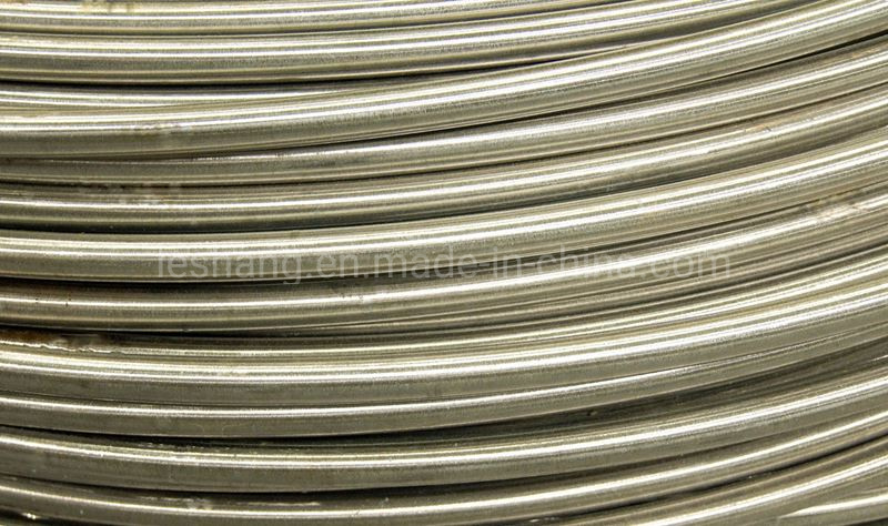 China Factory Price of Stainless Steel Wire