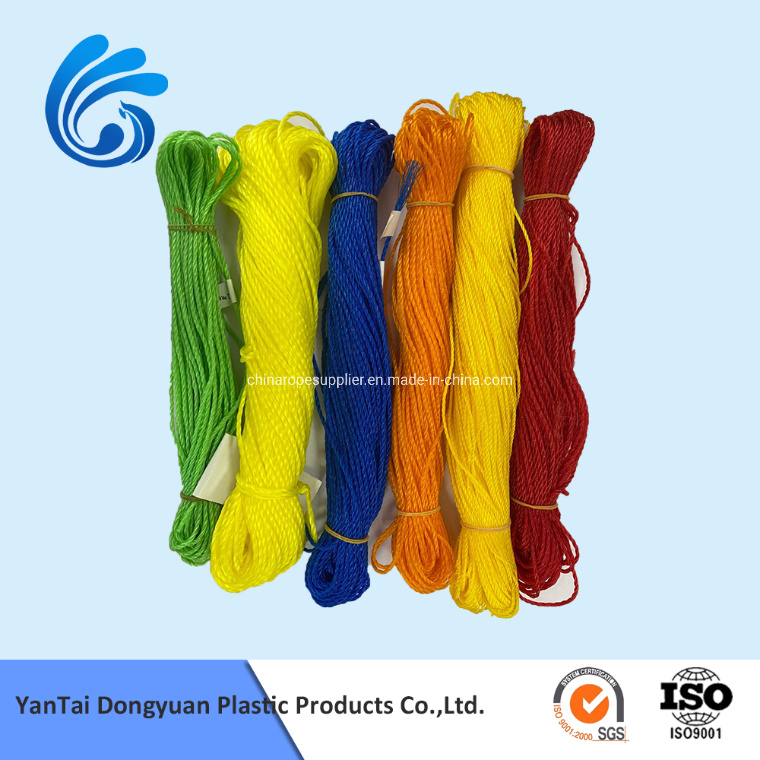 New Material PP PE Twisted Twine Plastic Binding Twine