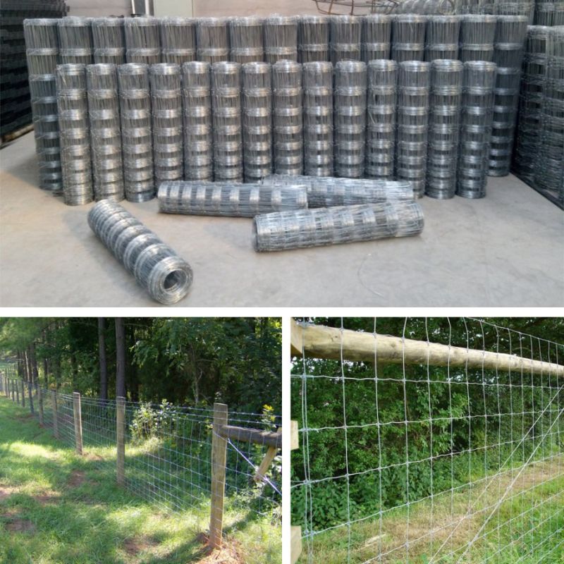 Galvanized Wire Metal Cattle Fence