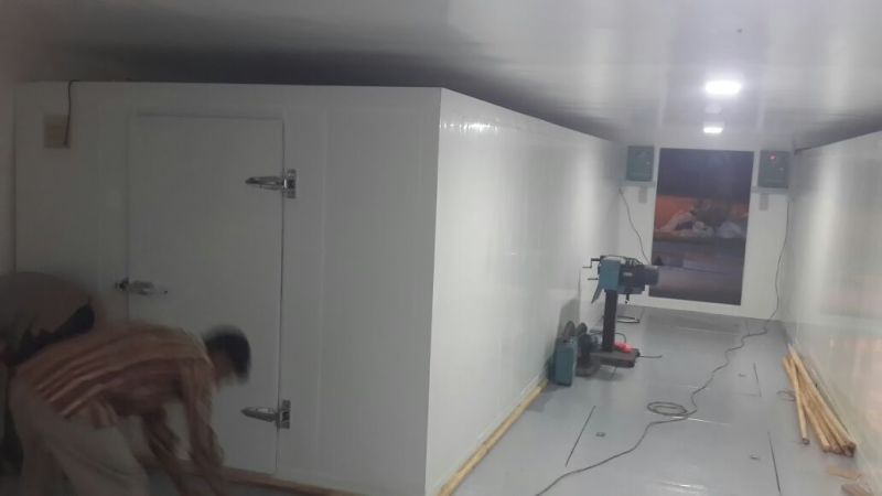 Coated Steel/Stainless Steel Material Cold Storage Room for Commercial