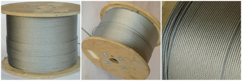 High Quality Galvanized Steel Wire Rope, Steel Wire