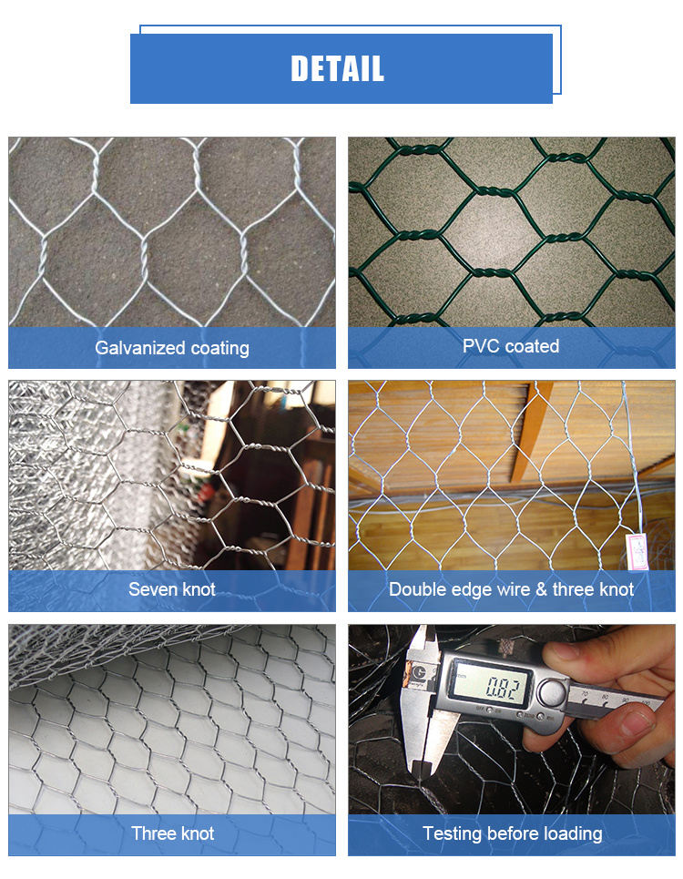 PVC Coated or Galvanized Hexagonal Wire Mesh