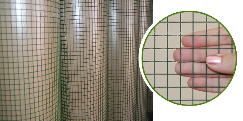 Hot Dipped PVC Coated Electro Galvanized Welded Wire Mesh