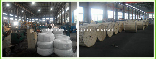 PVC Insulated Nylon Jacket Thhn Wire Cable for Building Construction