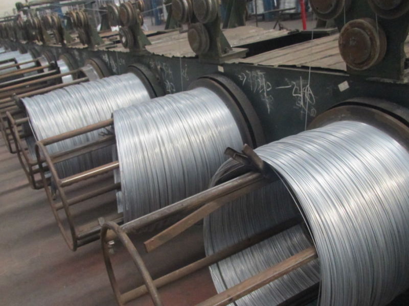 Galvanized Steel Wire Rod in Coils/ Steel Wire