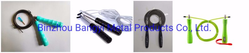 Professional Manufacturer PVC/PU Plastic Coated Steel Cable Wire Rope