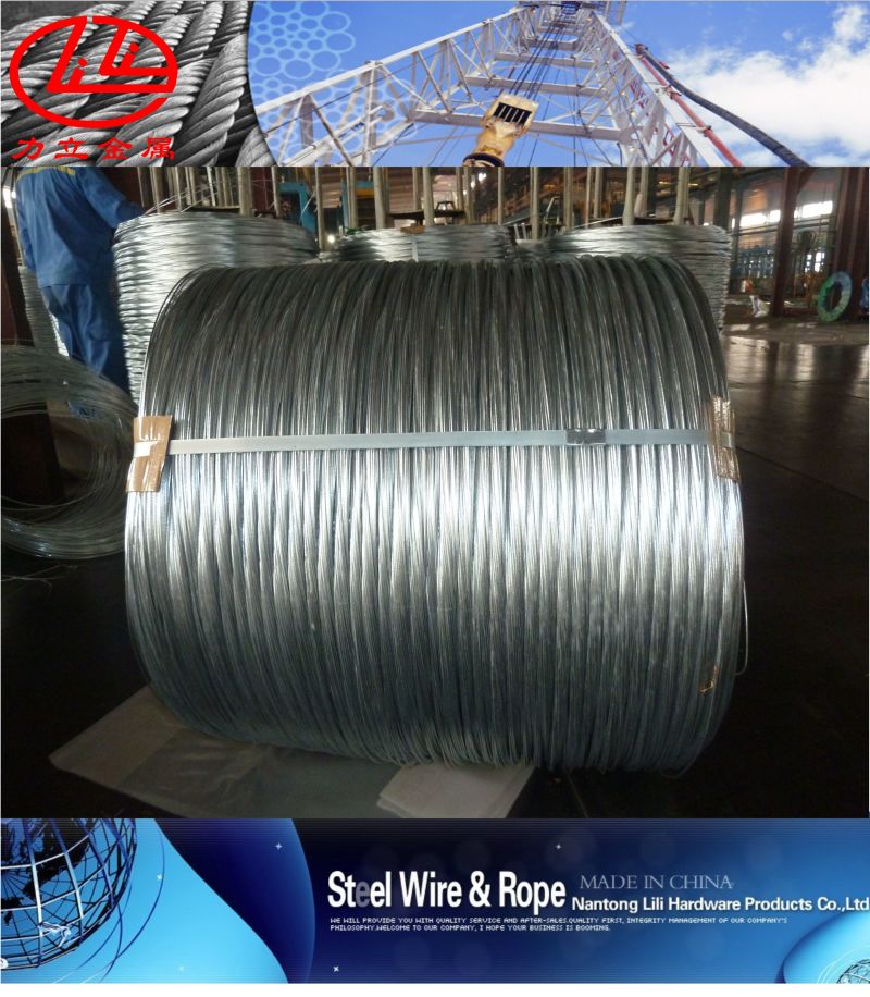 Galvanized Steel Wire Ropes, Wire Rope, Stainless Wire Rope