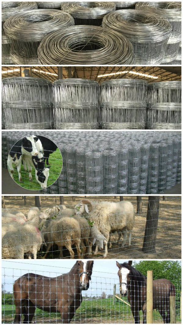 Premium Galvanized Field Fence Hinge Joint Wire Fence