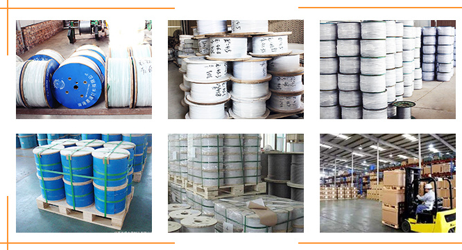 Stranded Wire Rope, Steel Wire Cable Galvanized Rope