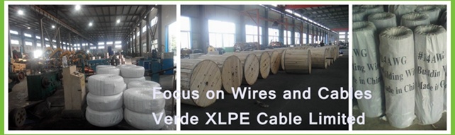 Steel Wire Armored XLPE Cable PVC Electric Wire Cable