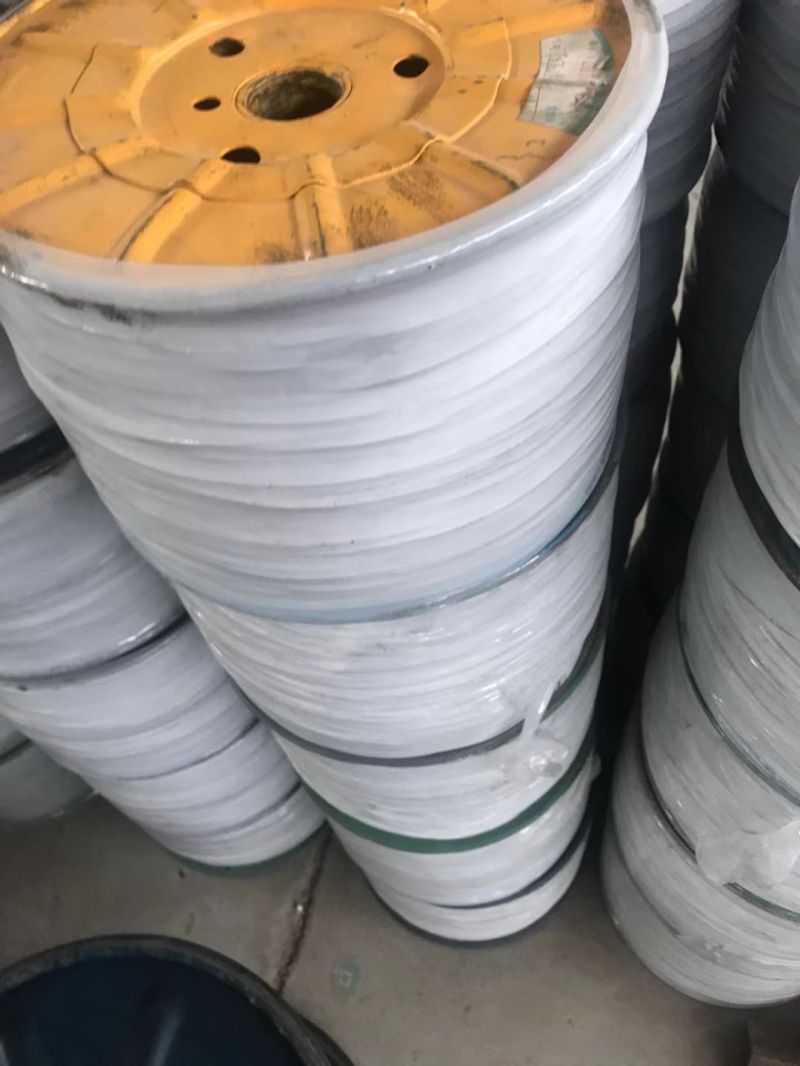 Factory Price Wire Rope Stainless Steel Wire Rope for Sale