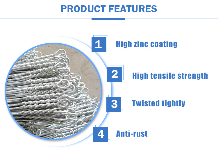China Copper Alloy Single Loop Bale Ties Wire Galvanized Type Wire