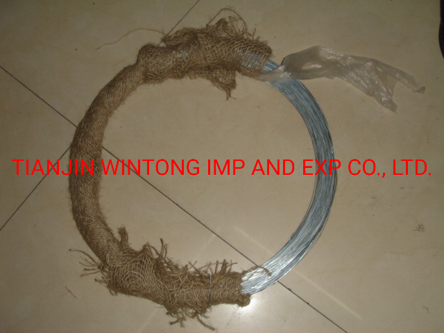 Galvanized Steel Wire / PVC Coating Steel Wire From China