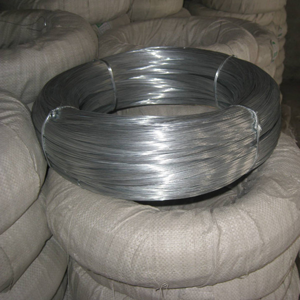 Electro Galvanized Wire Galvanised Steel Wire Coils Galvanized Binding Wire