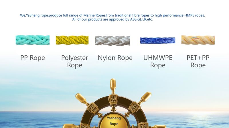 Nylon Braided Rope with Multiple Strand of Chinese Manufacturer