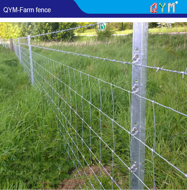 Galvanized Wire Farm Field Fence Fixed Knot Glassland Fence