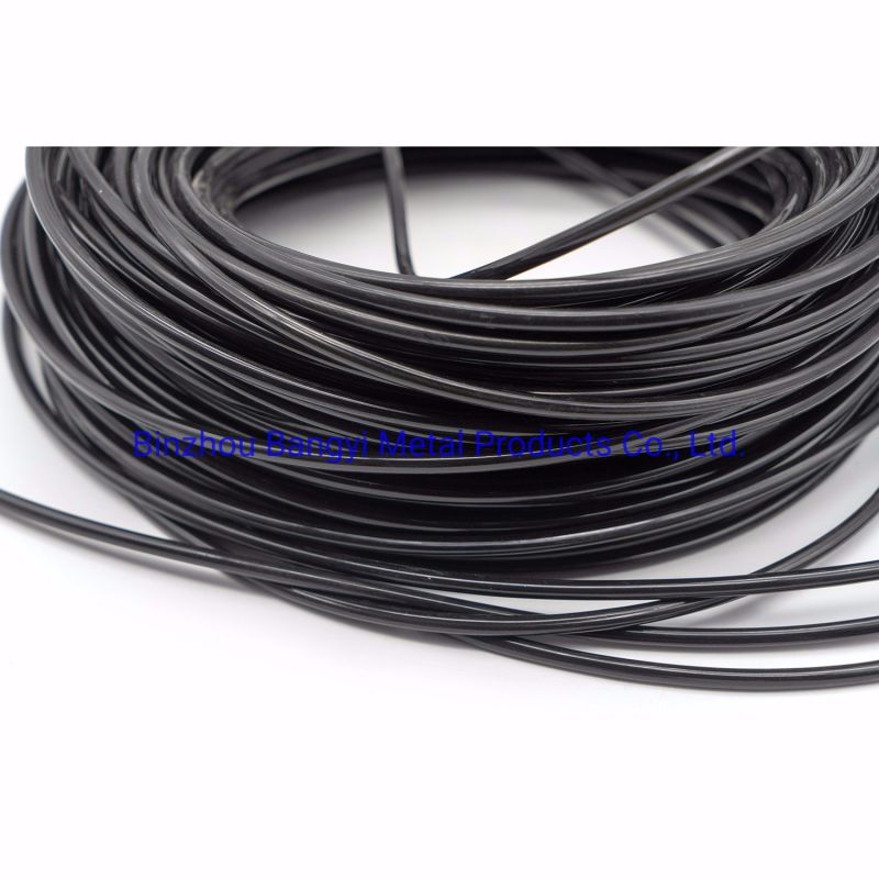 Plastic Coated Stainless Steel Wire Rope