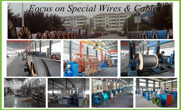 Steel Wire Armored XLPE Cable PVC Electric Wire Cable