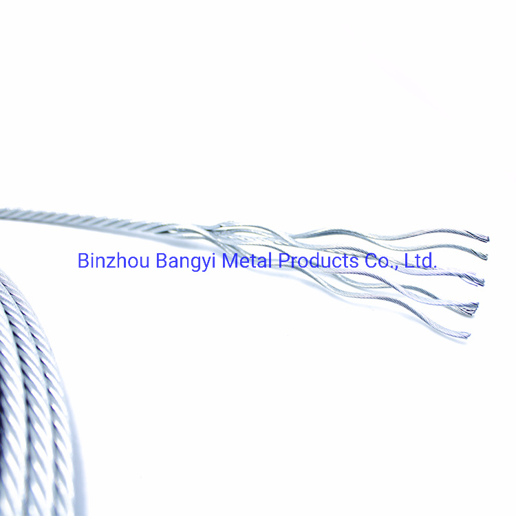 Galvanized Steel Wire Rope/Steel Rope China