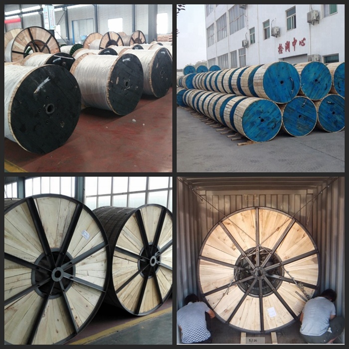 Widely Application Overhead Bare Aluminum Conductor Steel Reinforce ACSR Cable