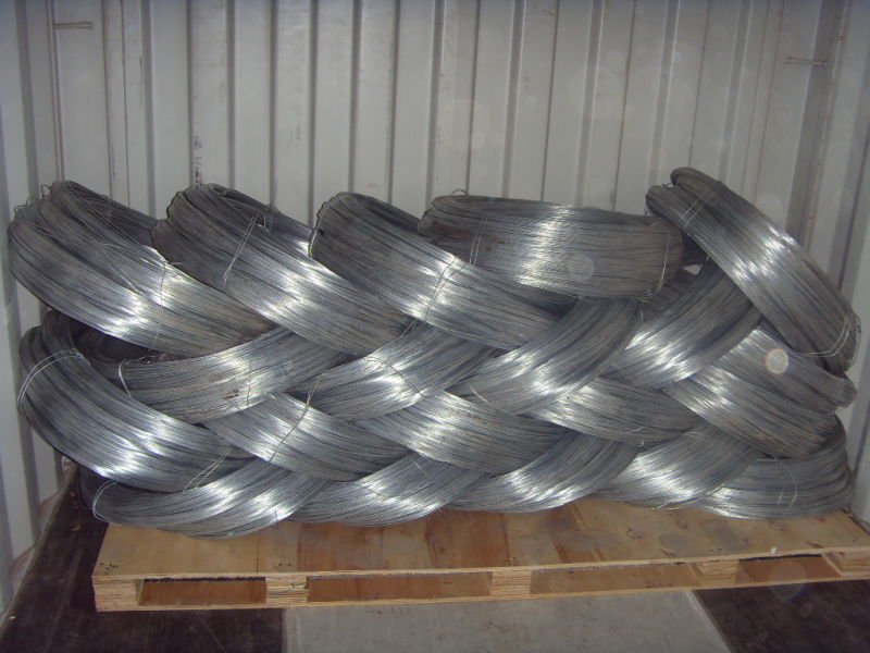 Galvanized Steel Wire Rod in Coils/ Steel Wire