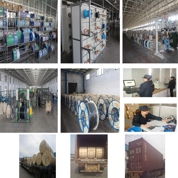 4 Core Central Tube Parallel Steel Wire Corrugated Steel Tape Armoring Optical Fiber Cable