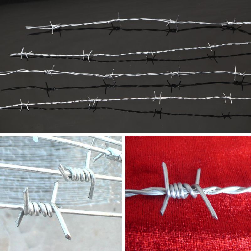 PVC Coated Hot Dipped Galvanized Barbed Wire