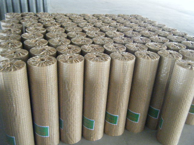 PVC Coated and Galvanized Weled Wire Mesh for Security