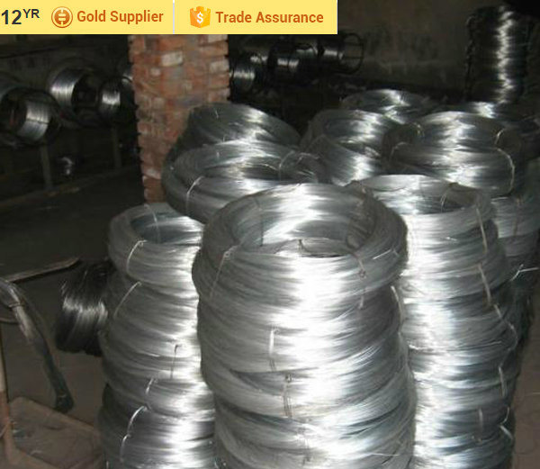 Galvanized Wire Q195 Material Galvanized Steel Wire From Shandong China