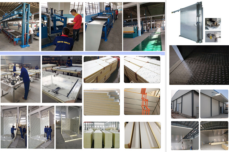 Coated Steel/Stainless Steel Material Cold Storage Room for Commercial