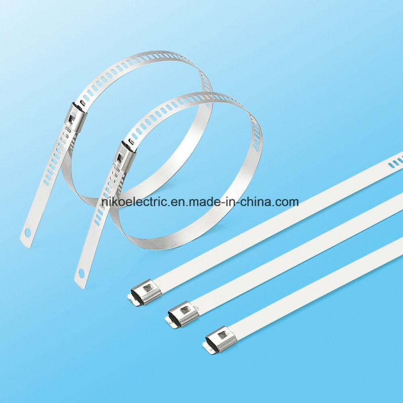 Ss Ladder Step Locked Cable Tie