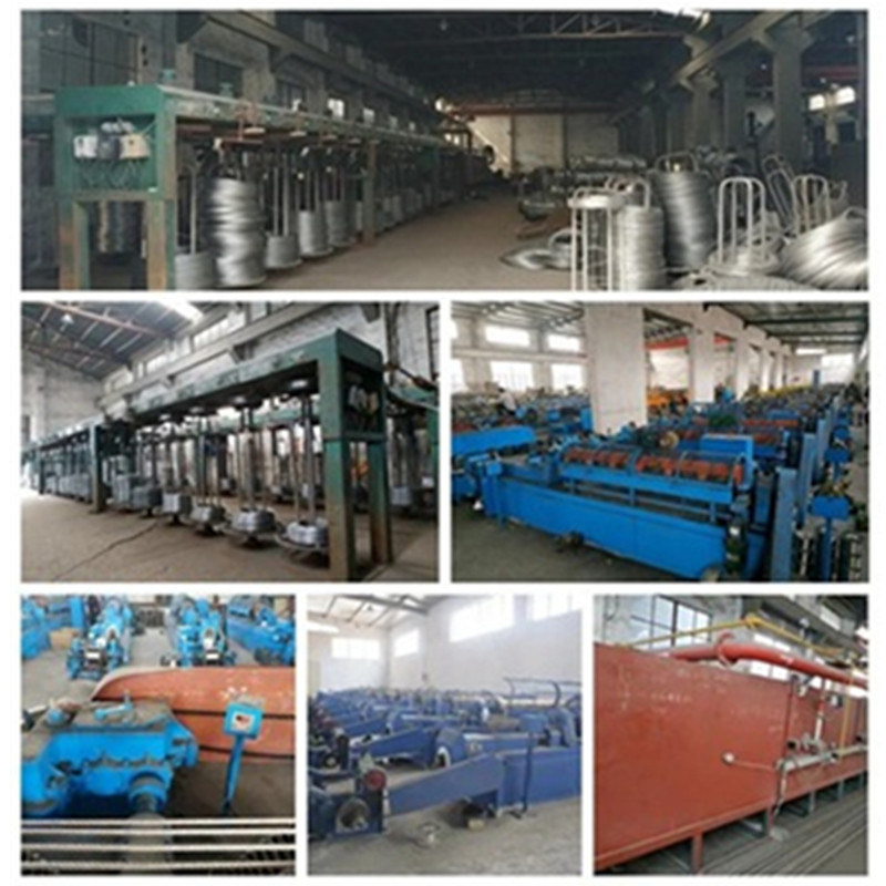 7*19 Steel Wire Rope / Stainless Steel Wire Rope From China Manufacturer