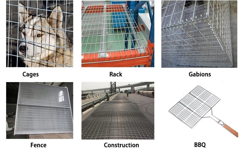 Hot Dipped PVC Coated Electro Galvanized Welded Wire Mesh