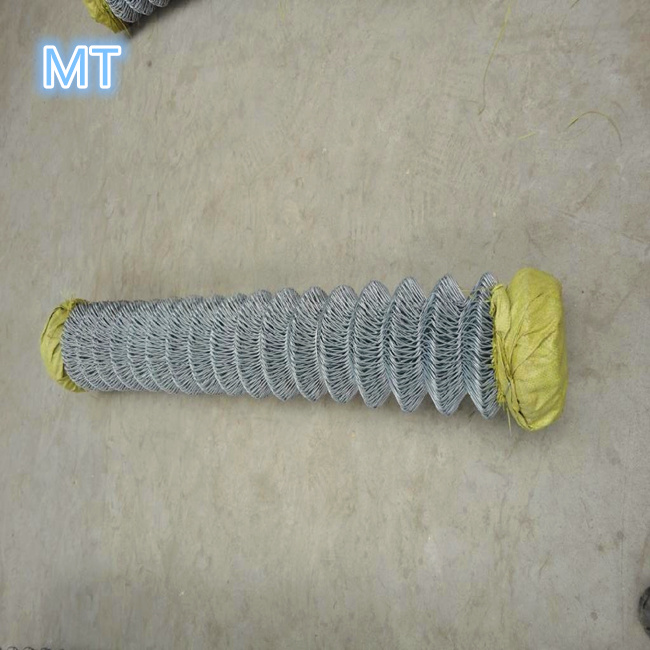 Chain Wire Mesh Fence Hot Dipped Galvanized/PVC Coated