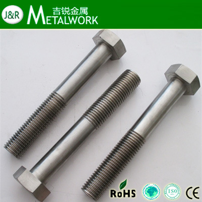 Stainless Steel SS304 SS316 SS316 Hex Bolt (DIN933)
