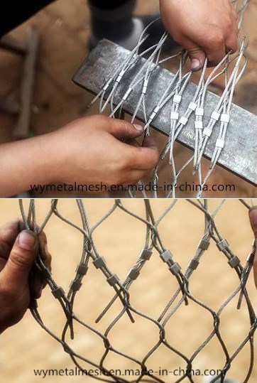 Ys Hand Woven Stainless Steel 304 Wire Rope Mesh Net/Bird Netting Wire Rope Mesh/Wire Rope Mesh Fence