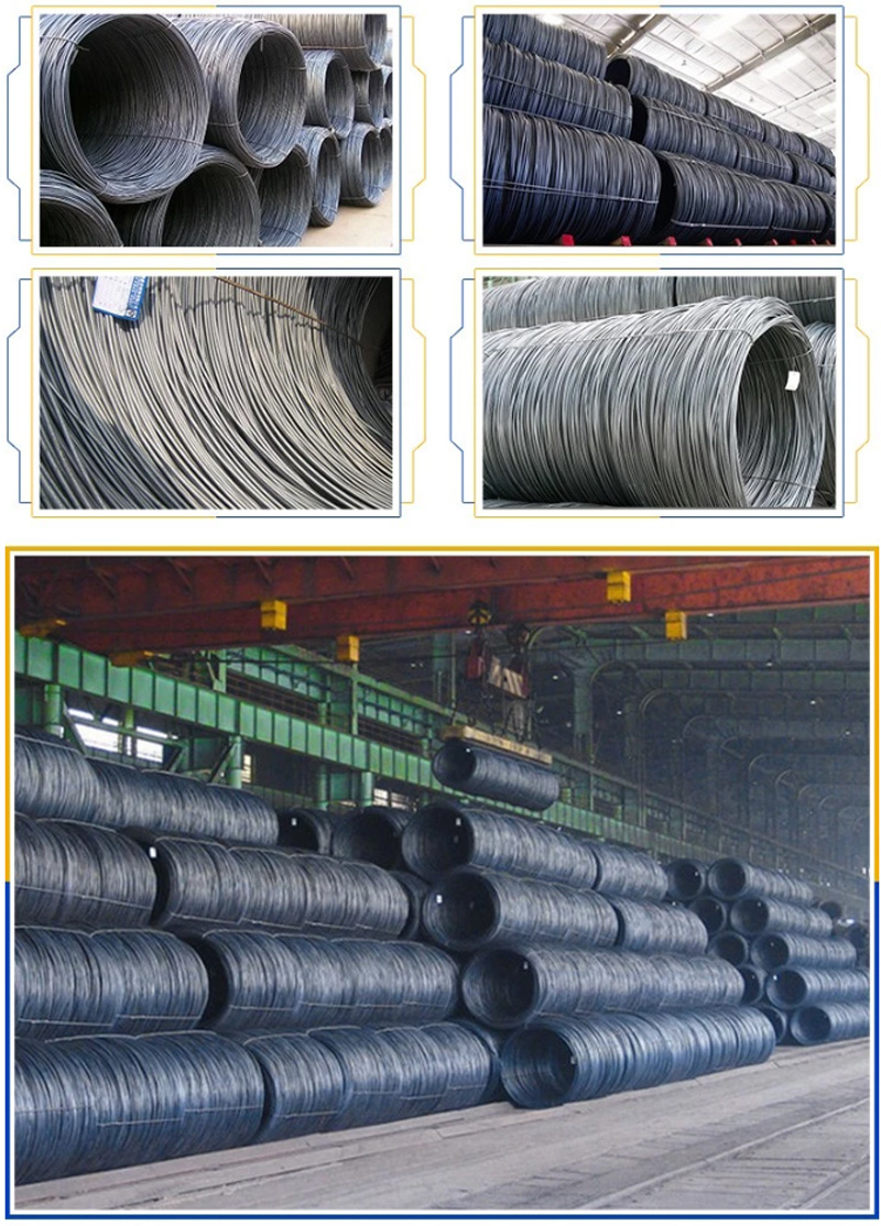 Customized 1.0mm Size Carbon Steel Spring Steel Wire