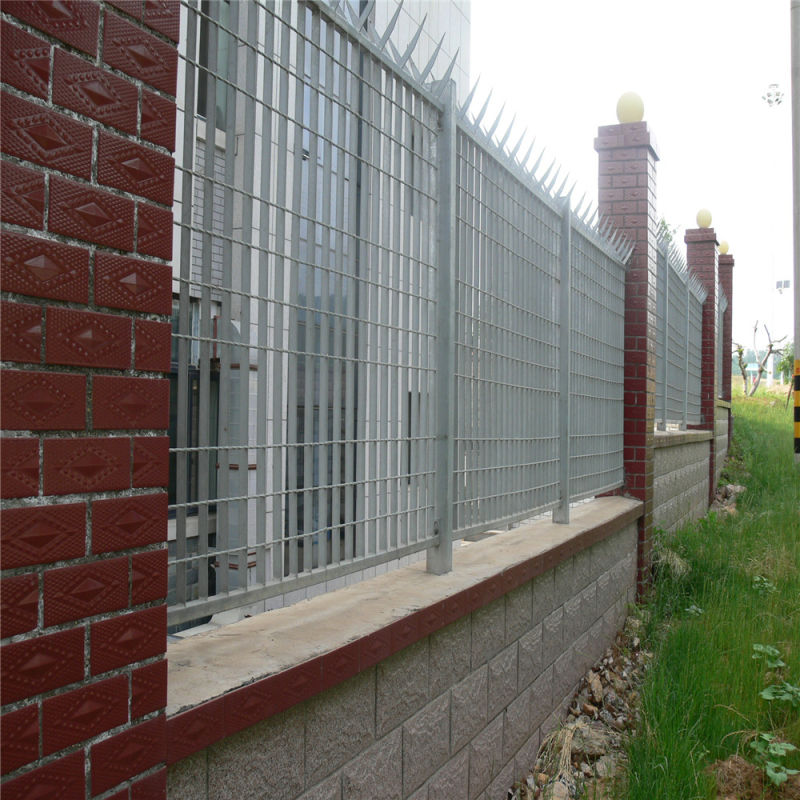 Customized Galvanized Stainless/Carbon Steel Wire Fence Mesh