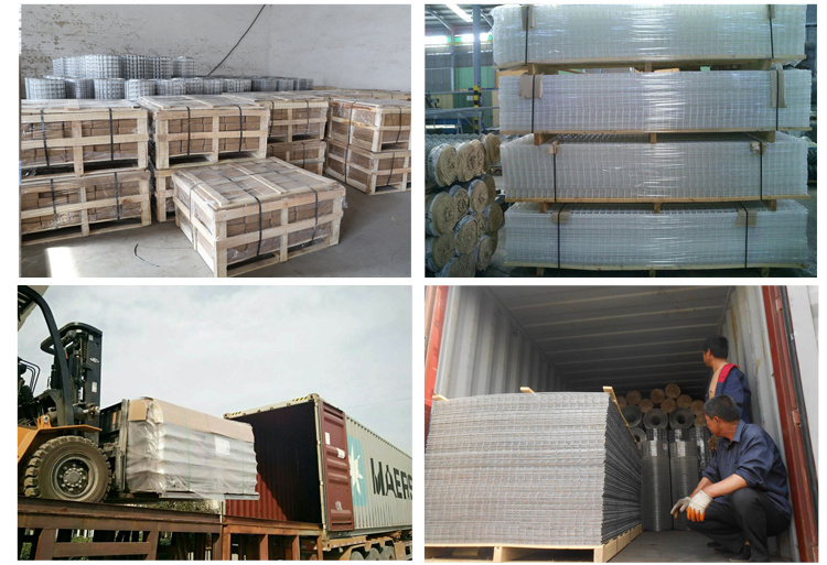 PVC and Hot Dipped Galvanized Wire Mesh Fencing
