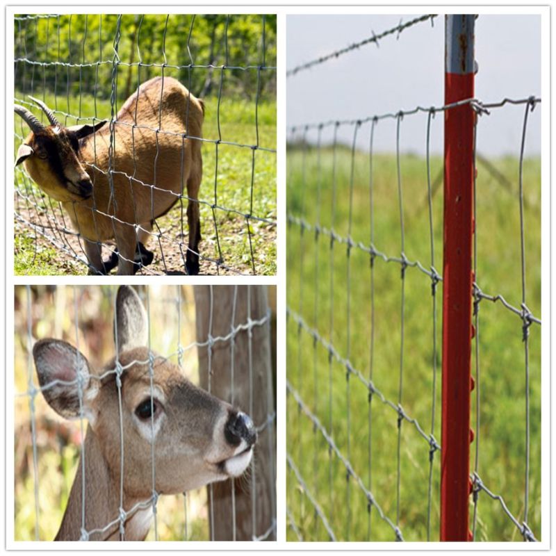 Hot-DIP Galvanized Wire Farm Fence for Animal Farm