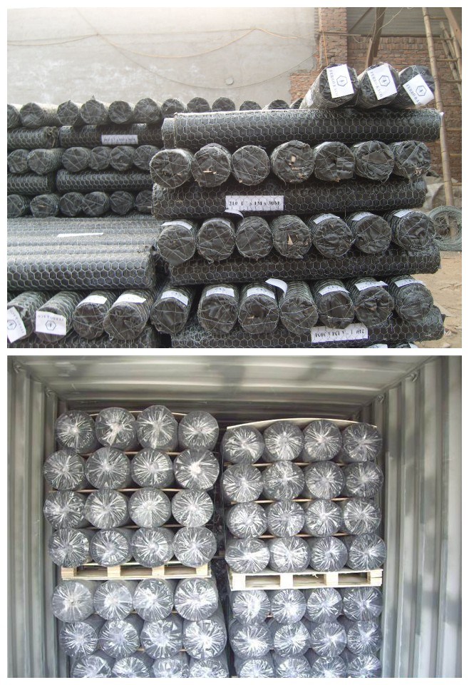 Strong Galvanized and PVC Coated Hexagonal Wire Mesh