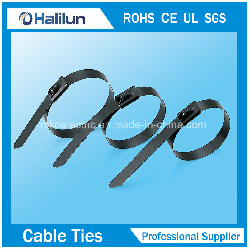 Full Epoxy Coated 304 Ss Cable Ties Self-Locked Type