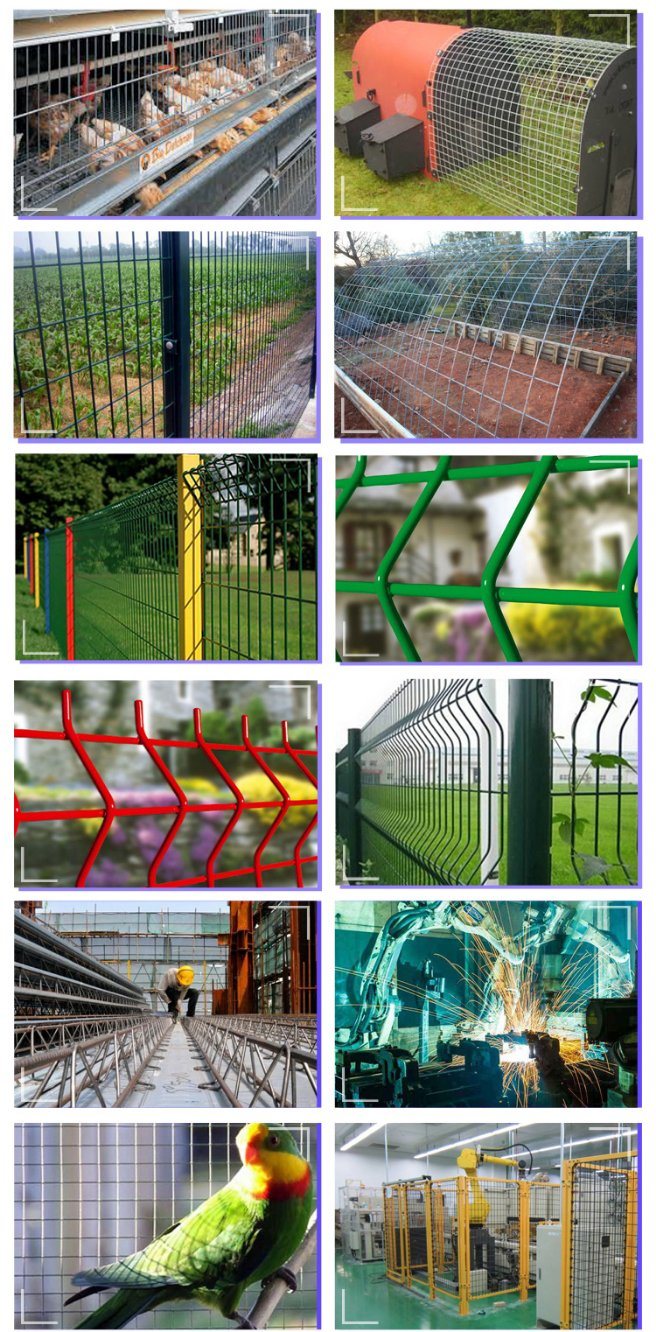 PVC and Galvanized Welded Wire Fence with Factory Price