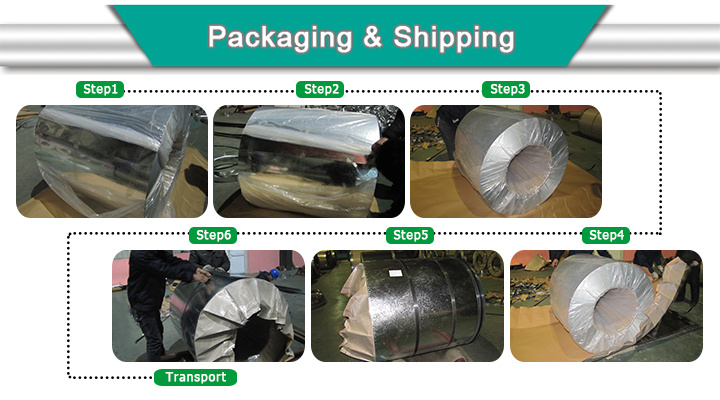 Low Price Hot Dipped Galvanized Steel Coil Z40-Z220 / Zinc Coated Steel Coil / Hdgi / Gi